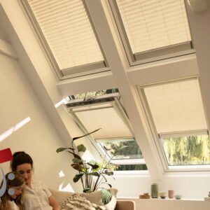Zwei Elektro Dachfenster Faltstores im Zimmer