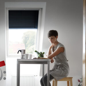 Innenansicht Außenrollladen SML von Velux