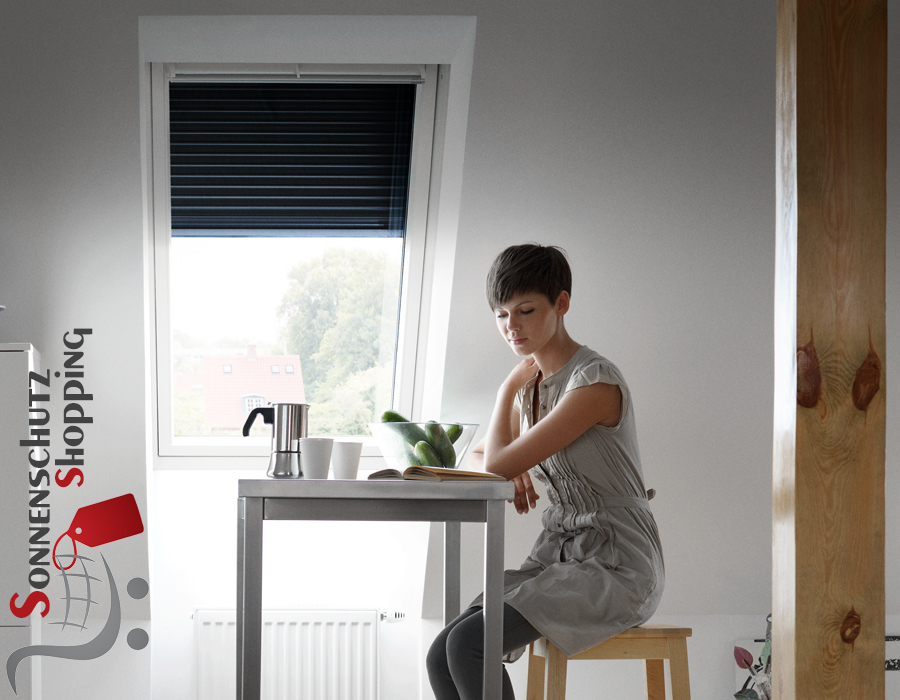 Innenansicht Außenrollladen SML von Velux